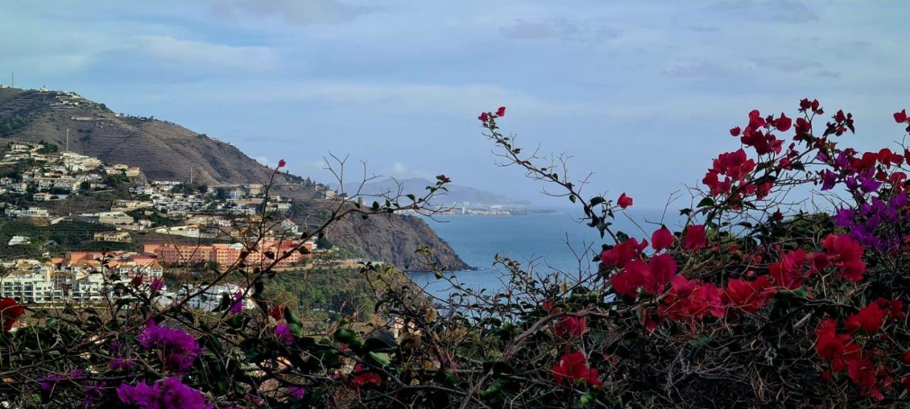 Apartamento Todimer La Belle Vie Granada Esterno foto